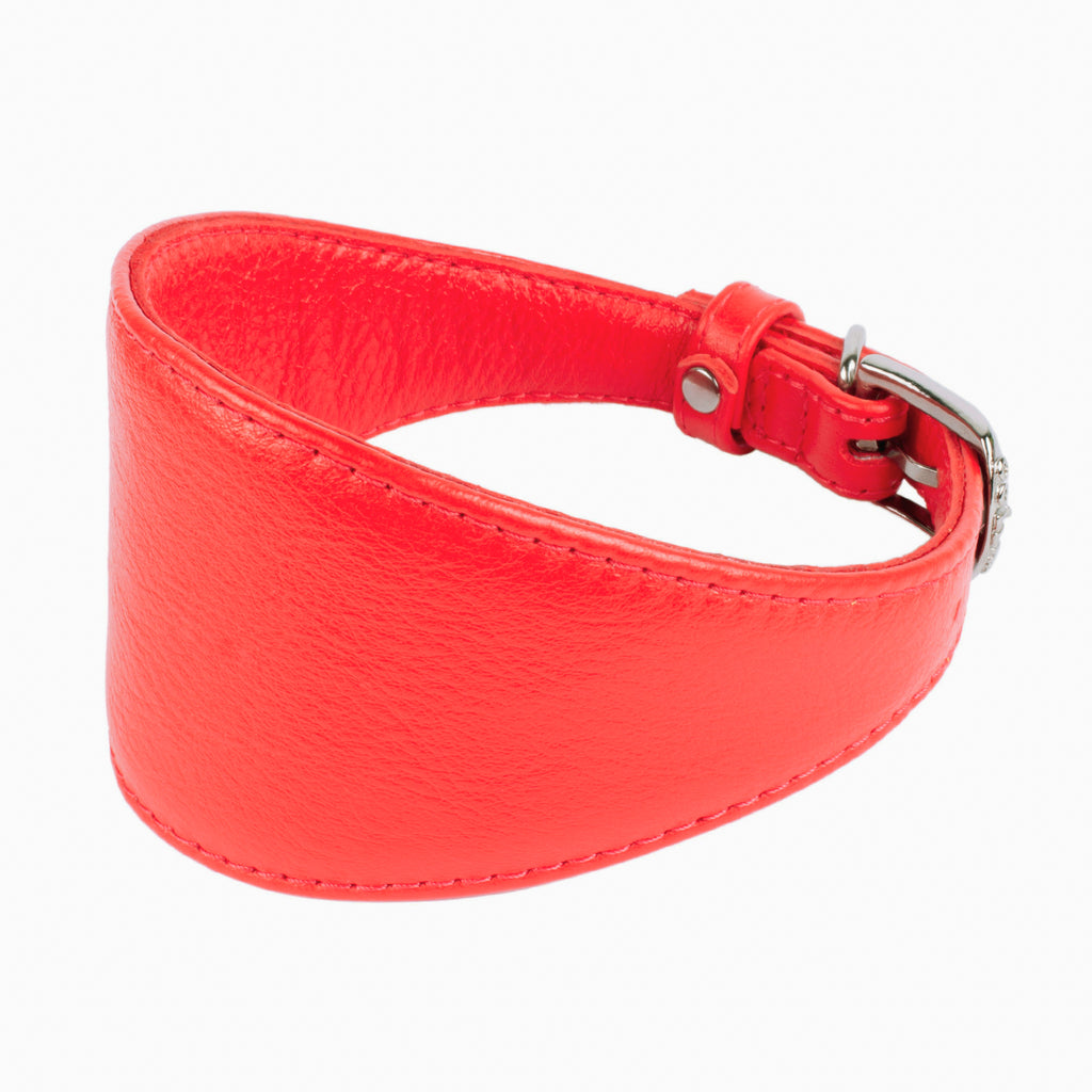 New pets on the block Soft Leather Dog Collar Multi Functional Dog Leash Whippet Lurcher Borzoi Greyhound Red matching set